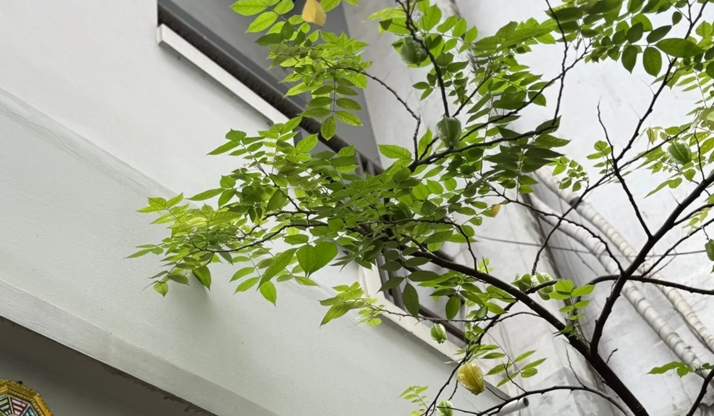 Nhà Phường Nhiêu Lộc, Quận 3 - Vị trí vàng, tiện nghi đầy đủ... Bán nhà riêng tại Nhiêu Lộc, Hồ Chí Minh 01