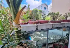 Bán nhà riêng 2 tầng 6,5x20m, hẻm xe tải Trần Văn Mười, 4.x tỷ... Bán nhà riêng tại Xuân Thới Sơn, Hồ Chí Minh 07