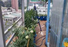 Bán nhà 5 tầng lô góc mặt tiền rộng tại phường 3, quận Gò Vấp... Bán nhà riêng tại Hạnh Thông, Hồ Chí Minh 01