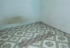 Nhà 3 tầng đẹp, mặt tiền rộng, giá cực hấp dẫn ngay Tân Phú... Bán nhà riêng tại Bình Hưng Hòa, Hồ Chí Minh 08