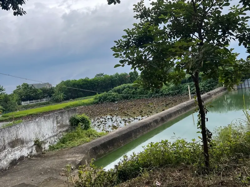 Đất GIÁ MỀM - thôn Ngọc Cụ xã Hoàng Vân tỉnh Bắc Giang cũ nay thuộc tỉnh Bắc Ninh.... Bán đất tại Từ Sơn, Bắc Ninh 01