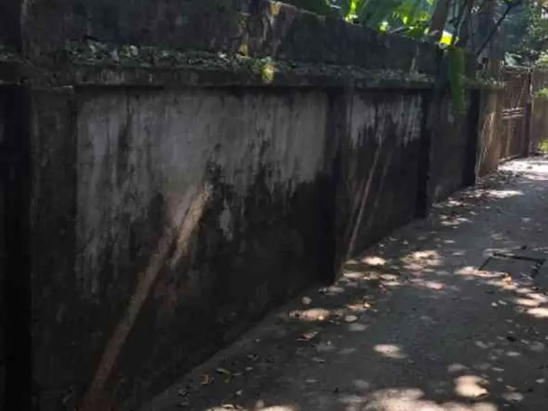 Bán Đất cao viên thanh oai 248m giá 8.8 tỷ... Bán đất tại Thanh Oai, Hà Nội 01