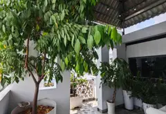 NHÀ 5 TẦNG 65M2 KHU ĐỒNG BỘ - PHƯỜNG AN NHƠN - THANG MÁY VIVU - 13TY TL... Bán nhà riêng tại An Nhơn, Hồ Chí Minh 17