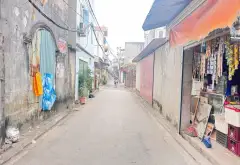 🌺VÀI BƯỚC CHÂN RA VINCOLOA - ĐƯỜNG OTO ĐỖ CỬA - CÁCH TRỤC CHÍNH KINH DOANH 70M - CÁCH ĐƯỜNG 5 KÉO... Bán đất tại Đông Anh, Hà Nội 03