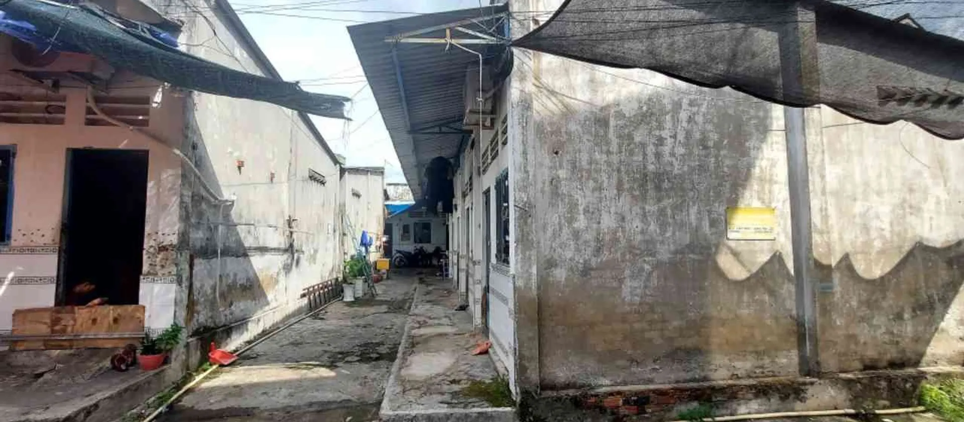 Cơ hội vàng nha rộng 202m² tại phường Tam Bình,giá cực kỳ hấp dẫn, chủ nhà quyết giảm sâu!... Bán nhà riêng tại Tam Bình, Hồ Chí Minh 01