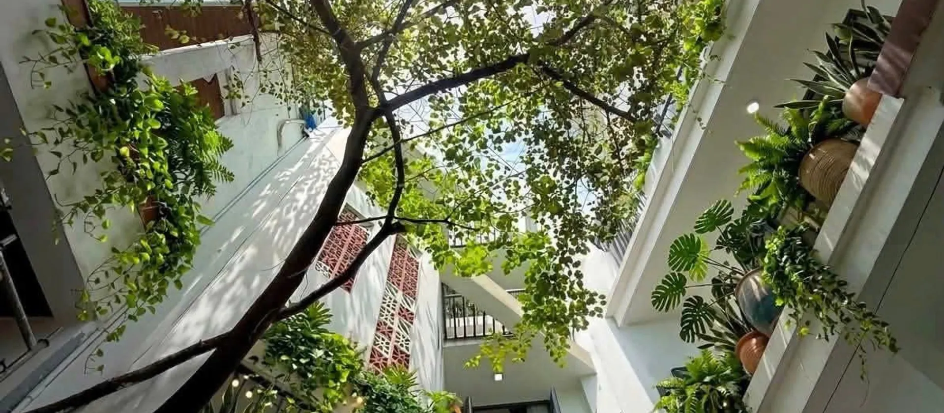 Cơ hội sở hữu nhà kiệt ô tô rộng Nguyễn Văn Linh tại Hải Châu, giá tốt hiếm có... Bán nhà riêng tại Hải Châu, Đà Nẵng 01