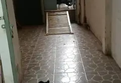 Cơ Hội Sở Hữu Nhà Riêng Giá Tốt Tại Phường Bình Đông, Hồ Chí Minh... Bán nhà riêng tại Bình Đông, Hồ Chí Minh 09