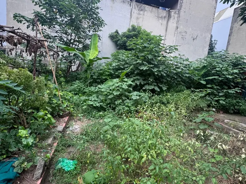 BÁN ĐẤT THANH AM, VIỆT HƯNG 50m²- MT 4.5m- VỈA HÈ Ô TÔ TRÁNH - VỊ TRÍ ĐẮC ĐỊA... Bán đất tại Việt Hưng, Hà Nội 01