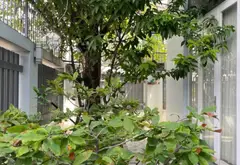 SIÊU PHẨM An Phú Đông 09 (Nguyễn Thị Nhuần) - Lô Góc 5 tầng - sát Gò Vấp - giá 13.2 tỷ... Bán nhà riêng tại An Phú Đông, Hồ Chí Minh 20