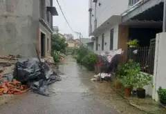 Bán đất thôn Đầu, xã Phụng Công, Văn Giang, Hưng Yên - mặt tiền 6m, đường ô tô 5m... Bán đất tại Phụng Công, Hưng Yên 09