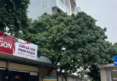 BÁN NHÀ LÝ SƠN, VIỆT HƯNG 55.2M2- 7 TẦNG THANG MÁY - MẶT PHỐ DUPLEX - KINH DOANH - 23.9 Tỷ... Bán nhà mặt phố tại Việt Hưng, Hà Nội 02