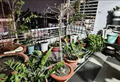 Nhà mặt tiền 4 tầng 63m2 quận Phú Nhuận giá 20.9 tỷ... Bán nhà mặt phố tại Phú Nhuận, Hồ Chí Minh 05