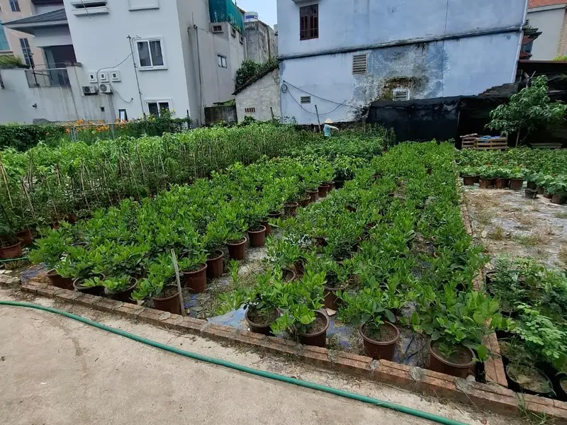 Cơ hội sở hữu đất thổ cư hiếm có tại xã Phụng Công, Văn Giang với giá tốt... Bán owner_side tại Tân Hưng, Hưng Yên 01
