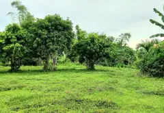 🌿 LÔ ĐẤT CHỮA LÀNH NGAY THUNG LŨNG FARM HÒA BẮC – CHÂN NÚI, SUỐI NHỎ, SÔNG CU ĐÊ TRONG LÀNH 🌿... Bán đất tại Hải Vân, Đà Nẵng 03