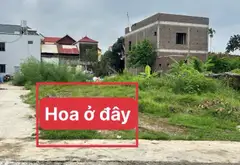 Cơ Hội Vàng Sở Hữu Đất Đẹp Thụy Hương, Sóc Sơn - Giá Tốt Hiện Nay... Bán đất tại Nội Bài, Hà Nội 05