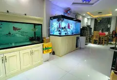HẺM OTO NGỦ NHÀ, KHU TOÀN NHÀ CAO TẦNG, BIỆT THỰ - 6Tầng-Ngang 6m - Thoại Ngọc Hầu - TÂN PHÚ... Bán nhà riêng tại Tân Phú, Hồ Chí Minh 08