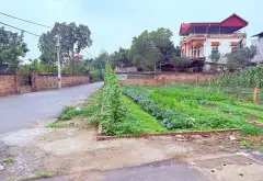 Bán đất lô góc 2 mặt ngõ ô tô tránh tại Thôn Kênh, Bắc Ninh... Bán đất tại Ninh Xá, Bắc Ninh 07
