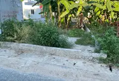 Bán đất mặt đường Đại Trang, An Trường, An Lão, lô góc hai mặt thoáng... Bán đất tại An Trường, Hải Phòng 04