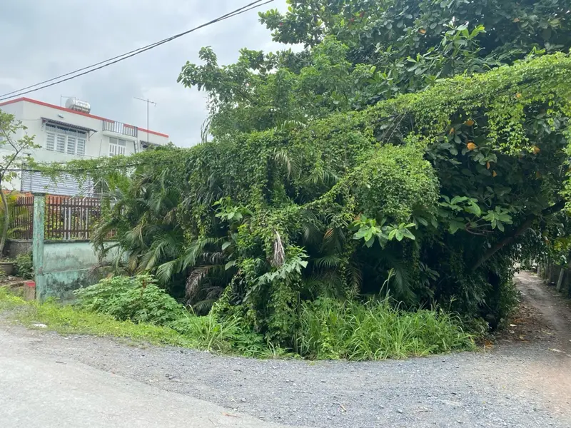 Bán đất lô góc Thạnh Lộc 43, An Phú Đông, Quận 12, 396m2... Bán đất tại An Phú Đông, Hồ Chí Minh 01