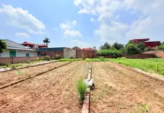 Đất đẹp Trung Giã – Mua ở hay đầu tư đều lý tưởng... Bán đất tại Trung Giã, Hà Nội 02
