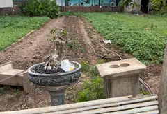 Đất ngay xã Mê Linh, sở hữu tiện nghi đỉnh cao, giá siêu hấp dẫn... Bán đất tại Mê Linh, Hà Nội 03