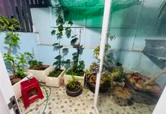 Cơ hội sở hữu nhà mặt tiền khu An Lạc giá tốt, tiện di chuyển trung tâm... Bán owner_side tại An Lạc, Hồ Chí Minh 14