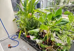 BÁN NHÀ SÁT MẶT TIỀN – ĐƯỜNG SỐ 79 --TÂN HƯNG -- CHỈ 4,7 TỶ TL... Bán nhà riêng tại Tân Hưng, Hồ Chí Minh 07