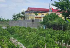 Bán Đất Từ Hồ, Việt Yên, Hưng Yên - Diện Tích 86m², Ngõ Rộng Ô Tô 7 Chỗ Vào Tận Nơi... Bán đất tại Việt Yên, Hưng Yên 03