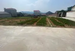 Mảnh đất vàng gần sân golf và danh thắng Phù Linh... Bán đất tại Sóc Sơn, Hà Nội 02