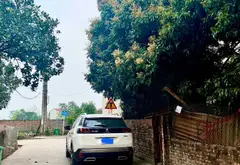 Đất - Quang Tiến - Nội Bài - Sóc Sơn - Gần Sân Bay - KHu Công Nghiệp - Ô Tô Tránh... Bán đất tại Sóc Sơn, Hà Nội 03