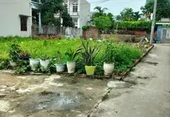 Đất vàng Quang Tiến, đầu tư siêu lợi... Bán owner_side tại Sóc Sơn, Hà Nội 04