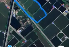 Quỹ đất rộng 1.8ha tại TDP Đẩu Sơn, Phù Liễn - Cơ hội đầu tư sinh lời lâu dài... Bán đất tại Kiến An, Hải Phòng 08