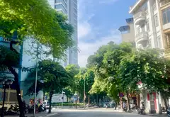 SIÊU PHẨM ĐẤT VÀNG BA ĐÌNH • MẶT PHỐ 180M² • MT 7.6M • GIÁ ĐẦU TƯ... Bán đất tại Ba Đình, Hà Nội 04