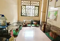 ​Hẻm xe hơi 8m Vườn Lài Tân Phú ngang lớn 6m hiếm có... Bán nhà mặt phố tại Phú Thọ Hòa, Hồ Chí Minh 05