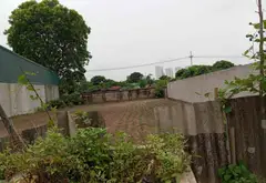 Bán đất 145m2 tại xã Đông Anh, Hà Nội giá 11,8 tỷ... Bán đất tại Đông Anh, Hà Nội 11