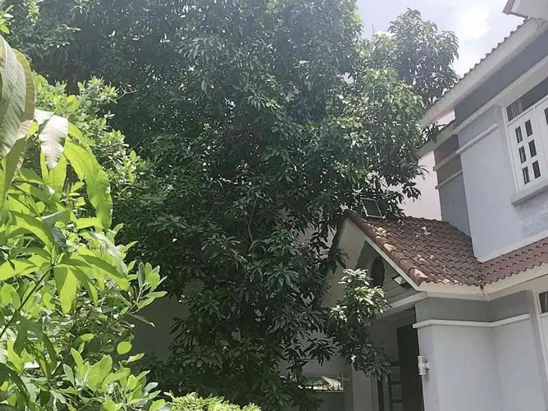 Biệt thự 450m2, hai mặt tiền đẳng cấp tại trung tâm Q2... Bán biệt thự, liền kề tại Cát Lái, Hồ Chí Minh 01