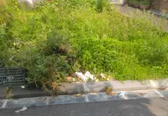 🔥 CHÍNH CHỦ GỬI BÁN TẠI KHU ĐÔNG( VIỆT HÙNG )– ĐÔNG ANH- HÀ NỘI 🔥
🏡 Diện tích: 48m²... Bán đất tại Thư Lâm, Hà Nội 06