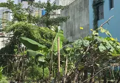 Bán đất 104m2 tại Quận 8 giá 5.7 tỷ đồng... Bán đất tại Bình Phú, Hồ Chí Minh 02