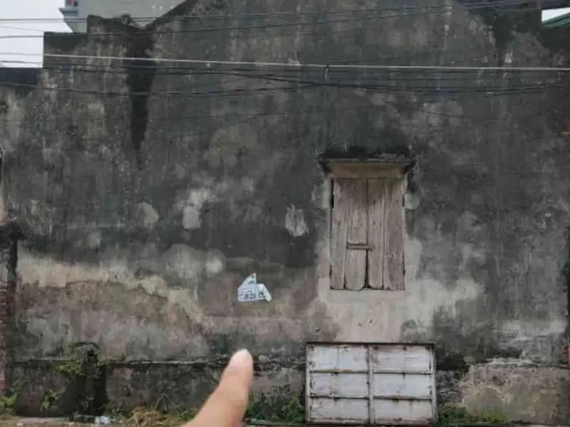 Cơ Hội Vàng Đầu Tư Đất Nền Ngay Gần Công Viên, Giá Chỉ 9 Tỷ... Bán đất tại Thư Lâm, Hà Nội 01