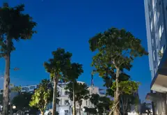 Cơ Hội Sở Hữu Shophouse Tầng Trệt Vàng Tại Bình Chánh Với Giá Tốt... Bán Shophouse tại Tân Nhựt, Hồ Chí Minh 06