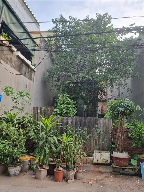 Đất Tái Định Cư, vỉa hè, oto tránh, view hồ, giá tốt... Bán nhà riêng tại Việt Hưng, Hà Nội 01