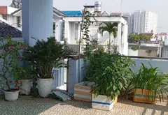 BÁN GẤP NHÀ MẶT PHỐ, P BÌNH TRƯNG Q2 CŨ, DT 78M, CHỈ HƠN 8 TỶ... Bán nhà mặt phố tại Bình Trưng, Hồ Chí Minh 01
