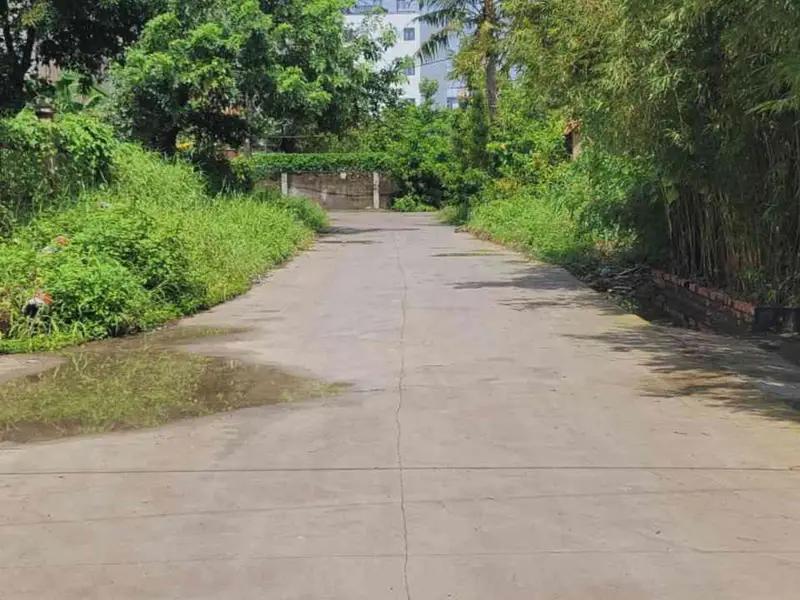 Nhà xưởng Thạnh Lộc, Quận 12, 870m2 (13 x 70), 48.8 tỷ... Bán nhà mặt phố tại An Phú Đông, Hồ Chí Minh 01