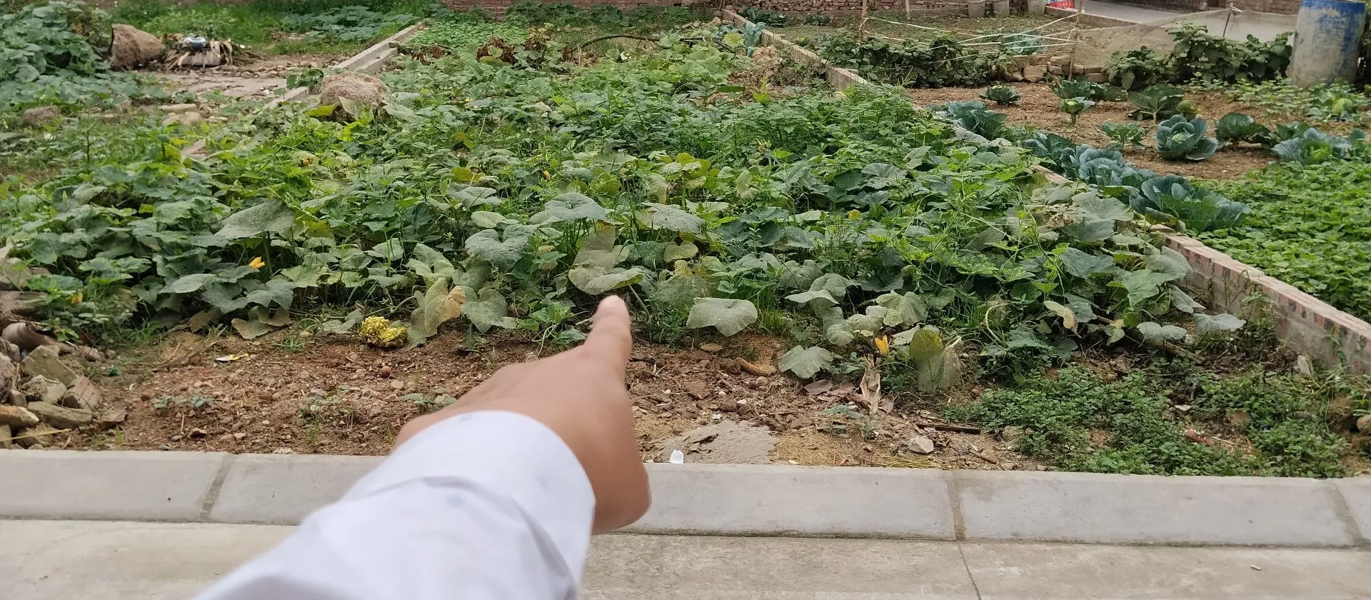 Siêu phẩm đất Đông Lai Quang Tiến - Trục chính kinh doanh đỉnh... Bán đất tại Sóc Sơn, Hà Nội 01