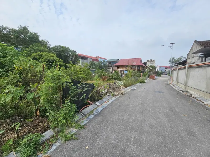 Bán đất 320m2 mặt tiền 21m tại Đại Vi Liên Hà giá 16 tỷ... Bán đất tại Thư Lâm, Hà Nội 01