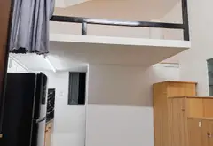 Bán CHDV Dương Quảng Hàm, 6 tầng, 22 phòng thu nhập 120 triệu/tháng giá 17.3 tỷ... Bán nhà riêng tại An Hội Đông, Hồ Chí Minh 10