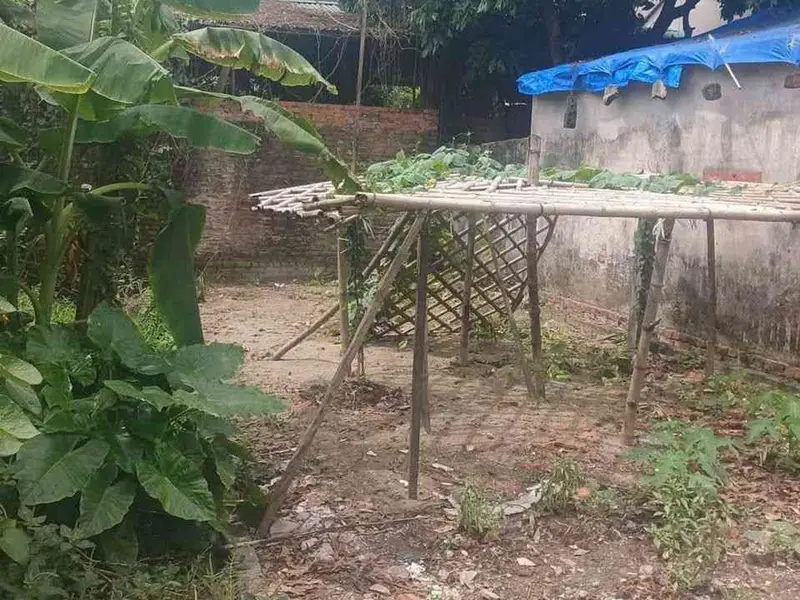 Cơ Hội Vàng Sở Hữu Đất Đẹp Tại Xã Thượng Phúc Hà Nội... Bán đất tại Thượng Phúc, Hà Nội 01