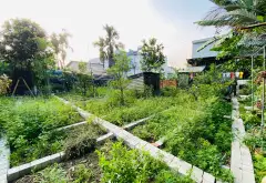 Đất rộng 536m² nở hậu, vị trí vàng tại Thuận An... Bán đất tại Thuận An, Hồ Chí Minh 03