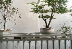 Nhà 3 tầng phường Tây Thạnh, Tân Phú,gần BigC Trường Chinh, nhỉnh 1 tỷ... Bán owner_side tại Tây Thạnh, Hồ Chí Minh 04