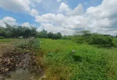 Kho bãi rộng lớn, vị trí đẹp giá hợp lý tại Đinh Đức Thiện... Bán kho, nhà xưởng tại Bình Chánh, Hồ Chí Minh 10